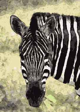 Фильтр Film Grain